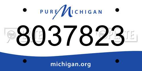 8037823 Michigan License Plate