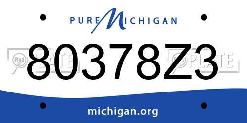 80378Z3 Michigan License Plate