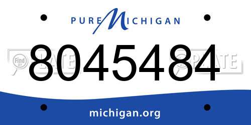 8045484 Michigan License Plate