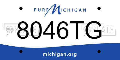 8046TG Michigan License Plate