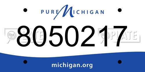 8050217 Michigan License Plate