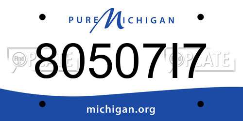 80507I7 Michigan License Plate