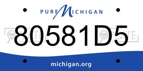 80581D5 Michigan License Plate