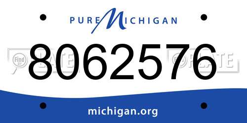 8062576 Michigan License Plate