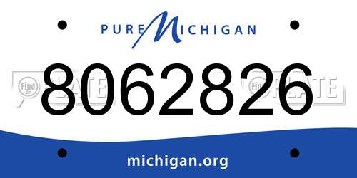8062826 Michigan License Plate