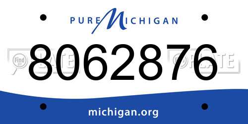 8062876 Michigan License Plate