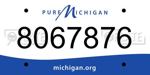 8067876 Michigan License Plate