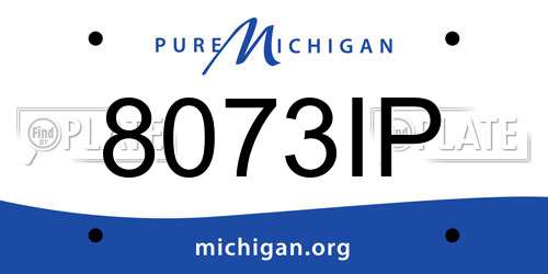 8073IP Michigan License Plate