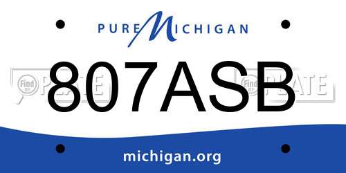 807ASB Michigan License Plate