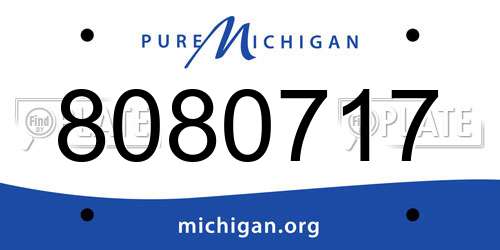 8080717 Michigan License Plate