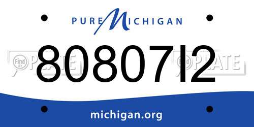80807I2 Michigan License Plate