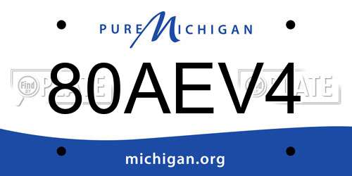 80AEV4 Michigan License Plate