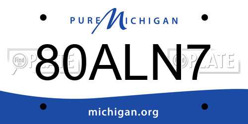 80ALN7 Michigan License Plate