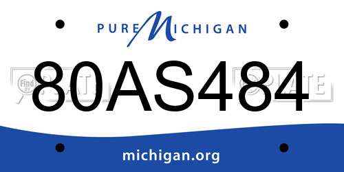 80AS484 Michigan License Plate