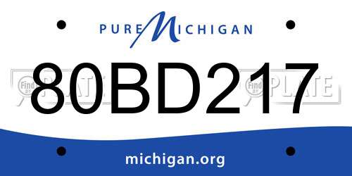 80BD217 Michigan License Plate