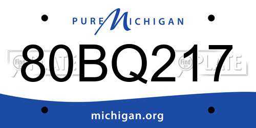 80BQ217 Michigan License Plate