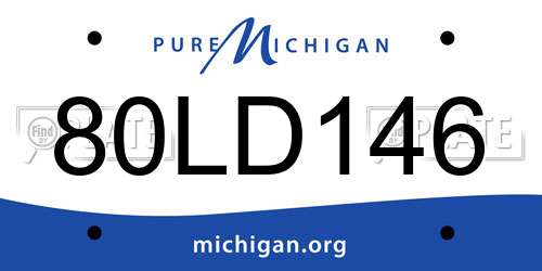 80LD146 Michigan License Plate