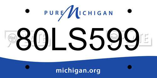 80LS599 Michigan License Plate