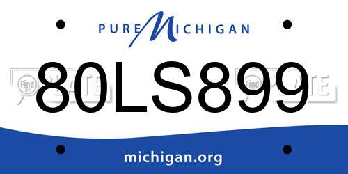 80LS899 Michigan License Plate