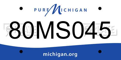 80MS045 Michigan License Plate