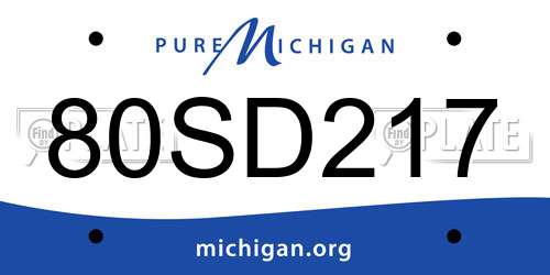 80SD217 Michigan License Plate