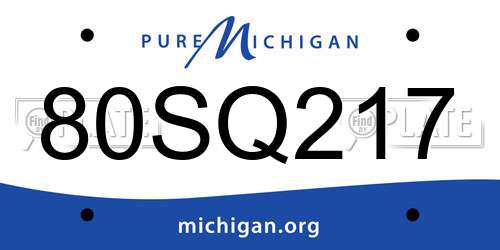 80SQ217 Michigan License Plate