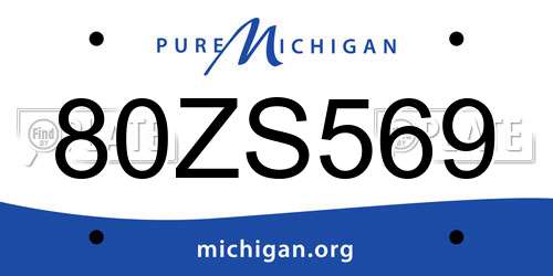 80ZS569 Michigan License Plate