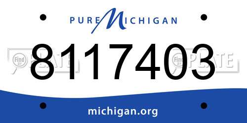 8117403 Michigan License Plate