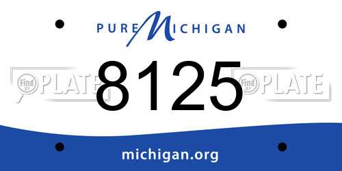 8125 Michigan License Plate