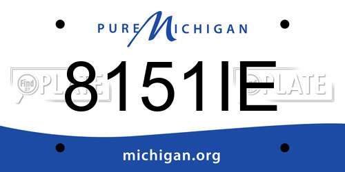 8151IE Michigan License Plate