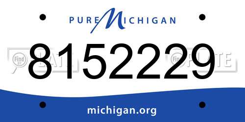 8152229 Michigan License Plate