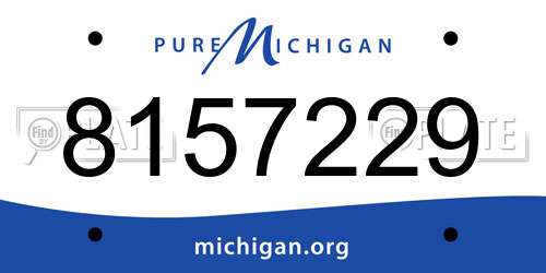 8157229 Michigan License Plate