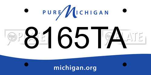 8165TA Michigan License Plate