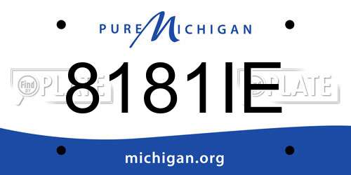 8181IE Michigan License Plate