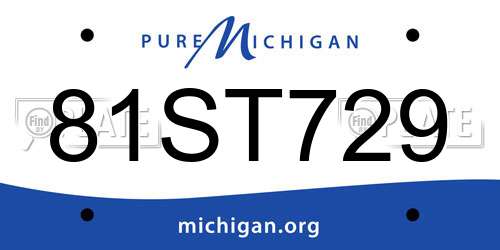 81ST729 Michigan License Plate