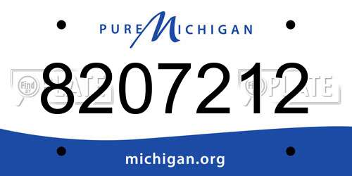 8207212 Michigan License Plate