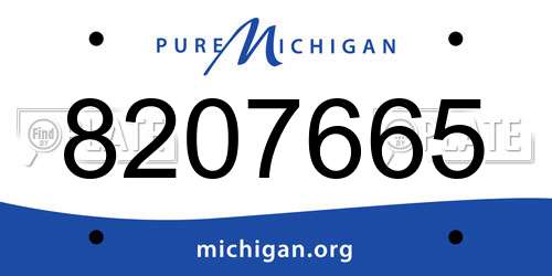 8207665 Michigan License Plate