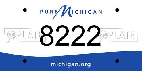 8222 Michigan License Plate