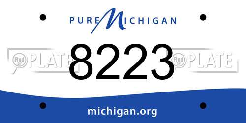8223 Michigan License Plate