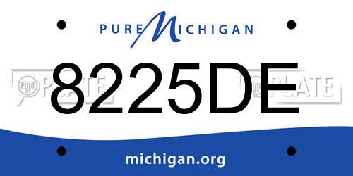8225DE Michigan License Plate