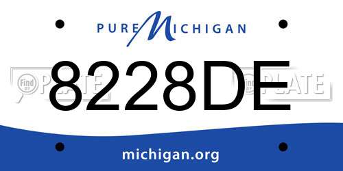 8228DE Michigan License Plate