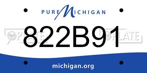 822B91 Michigan License Plate