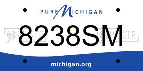 8238SM Michigan License Plate