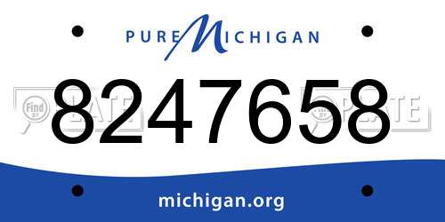 8247658 Michigan License Plate