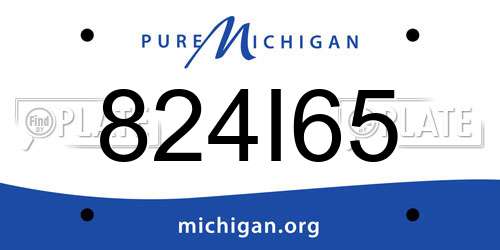 824I65 Michigan License Plate