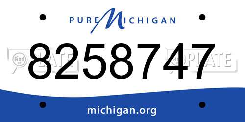 8258747 Michigan License Plate