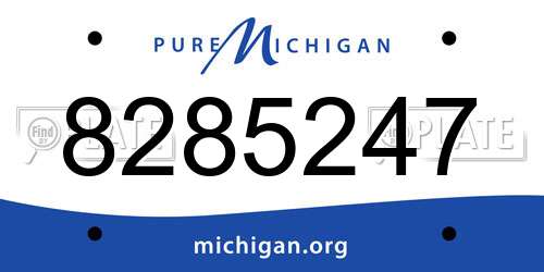 8285247 Michigan License Plate