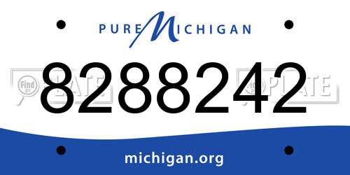 8288242 Michigan License Plate