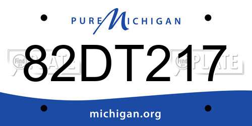 82DT217 Michigan License Plate