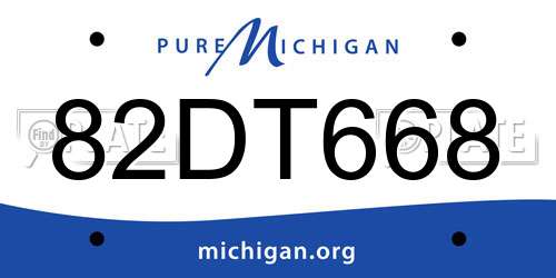 82DT668 Michigan License Plate